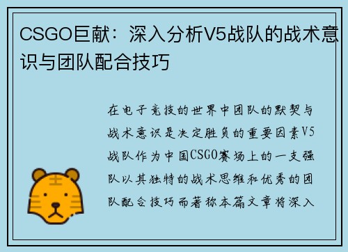 CSGO巨献：深入分析V5战队的战术意识与团队配合技巧
